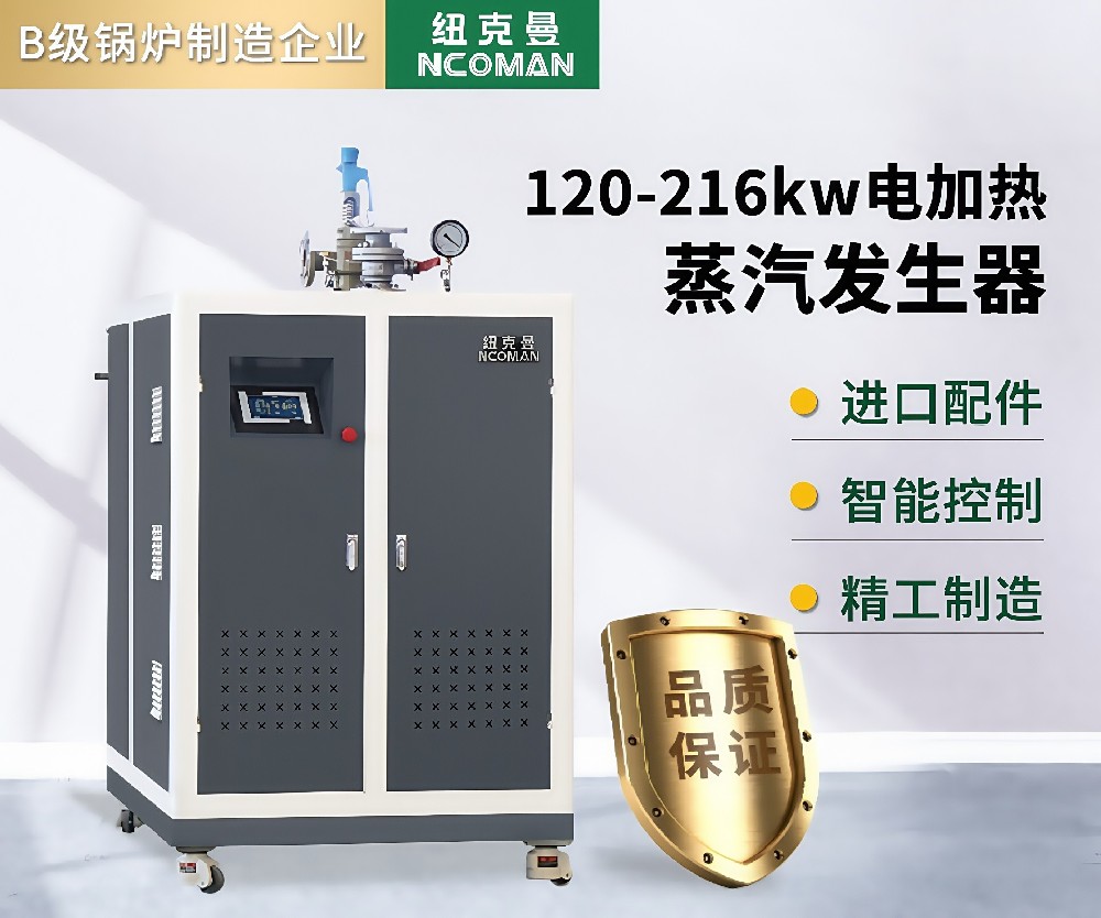 200kg-400kg 電蒸汽發生器