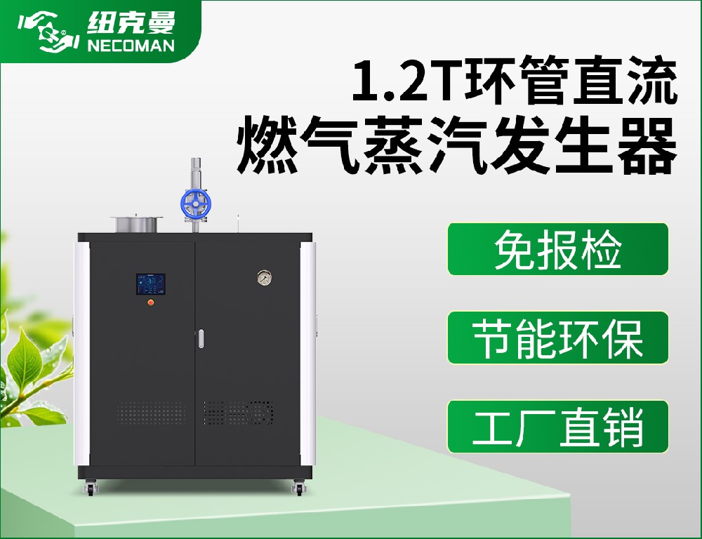 1.2噸 燃氣燃油蒸汽發生器